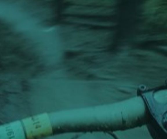 Bike Vinhas